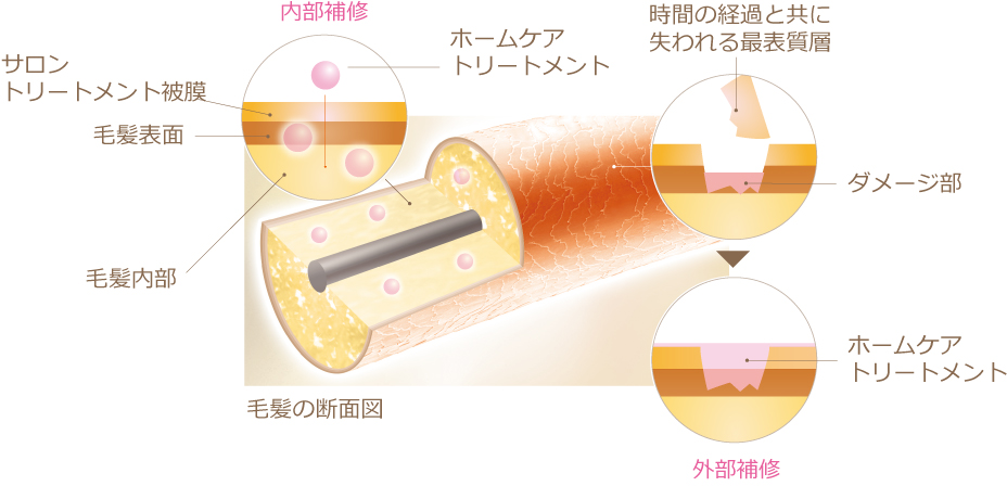 新しいトリートメント「コタトリート プレミーク」で美しい髪に