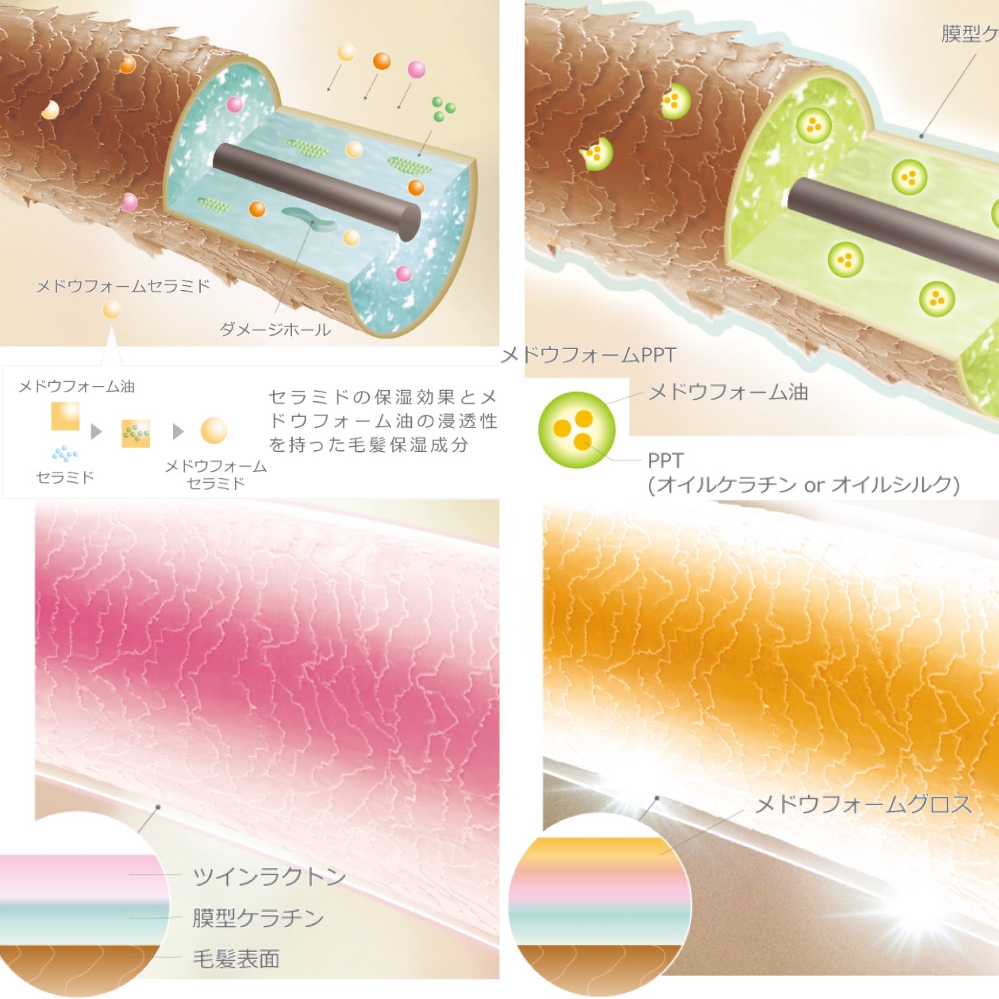 新しいトリートメント「コタトリート プレミーク」で美しい髪に
